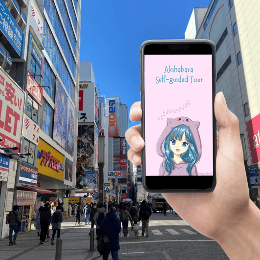 Akihabara: Self-Guided Tour with a special brochure - Anime shops, manga, and the main Akihabara appeal