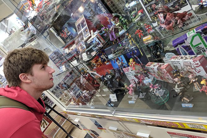 Akihabara Tailor-made Private Tour for Anime Fans - Why a private Akihabara guide helps