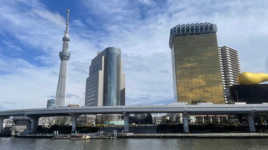 Awesome Private Tour: Tsukiji, Asakusa, Shinjuku, Shibuya - Ginza and Kabuki-za