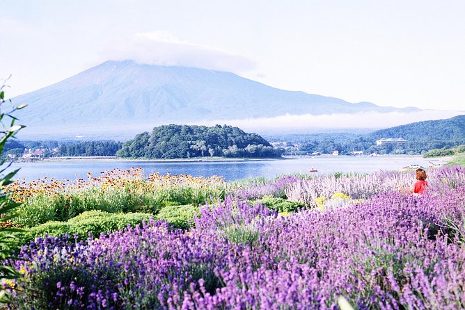 Barrier-Free Private Mt. Fuji Tour for Wheelchair Users - Lake Kawaguchiko and your choice of Fuji viewpoint