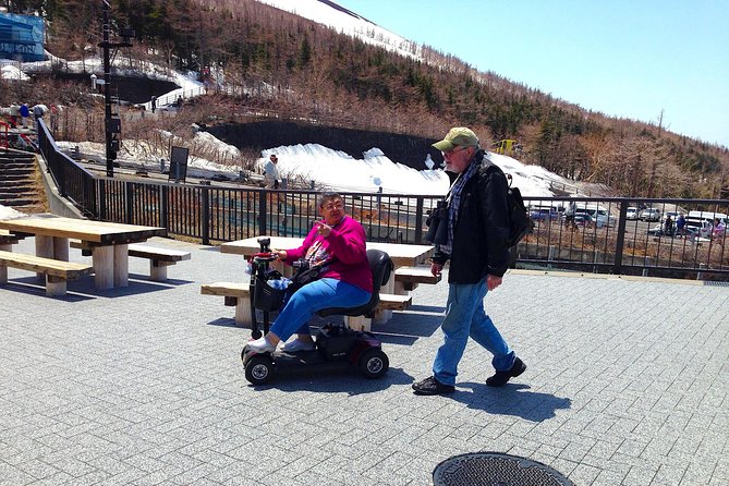 Barrier-Free Private Mt. Fuji Tour for Wheelchair Users - A traditional lunch with accessibility in mind