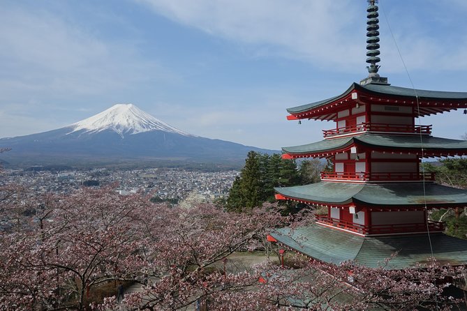 Barrier-Free Private Mt. Fuji Tour for Wheelchair Users - Reaching Mt. Fuji’s 5th Station