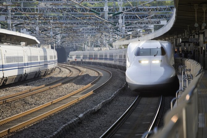 Best Mt Fuji and Hakone Full-Day Bus Tour from Tokyo - Odawara or Shinjuku: choosing your finish