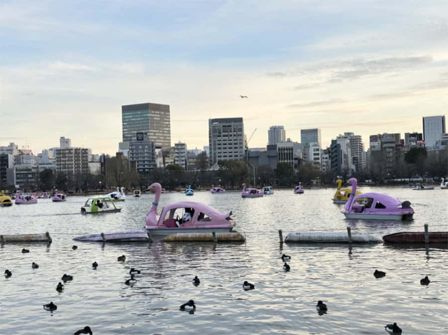 BEST OF TOKYO HIGHLIGHTS - WALKING TOUR PART 1 - Key points to know before booking