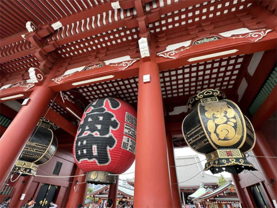 BEST OF TOKYO HIGHLIGHTS - WALKING TOUR PART 1 - Meiji Shrine offers a quiet hour in Harajuku