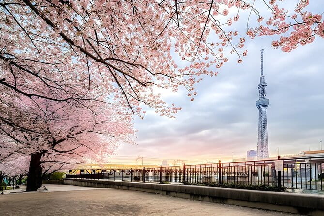 Best of Tokyo Private Tour English Driver &Customizable Itinerary - Senso-ji and Asakusa begin the day with old Tokyo