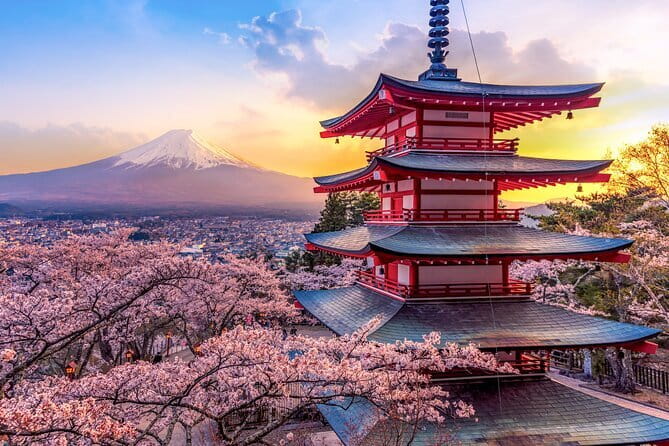 Best of Tokyo Private Tour English Driver &Customizable Itinerary - Shibuya Crossing is brief but memorable