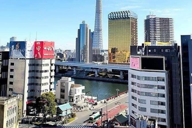 Best of Tokyo Private Tour English Driver &Customizable Itinerary - Tokyo Skytree adds height, but tickets cost extra