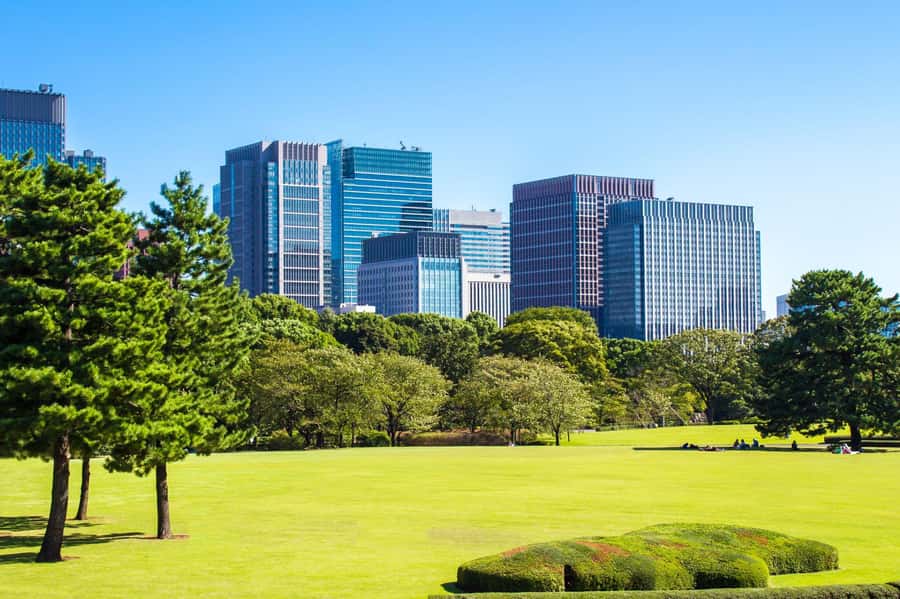 Best of Tokyo Small Group Tour - Key things to know before you book