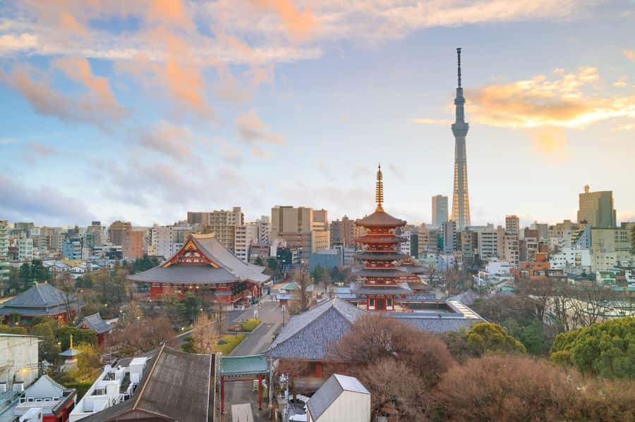 Best of Tokyo Small Group Tour - The guide can shape the whole day