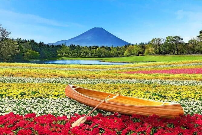 Bullet Train Experience & Mishima Shrine Private Tour from Tokyo - Lunch in Mishima, with the bill left to you