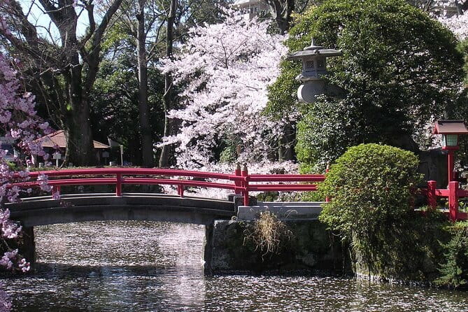 Bullet Train Experience & Mishima Shrine Private Tour from Tokyo - The Tokyo Station start and the 45-minute Shinkansen ride