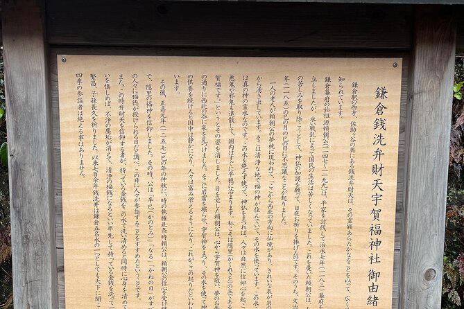 Chair Seat Guaranteed SUMO Practice +Photo +Culture Option - Finding Kiyosumi-shirakawa Station at 8:00 am