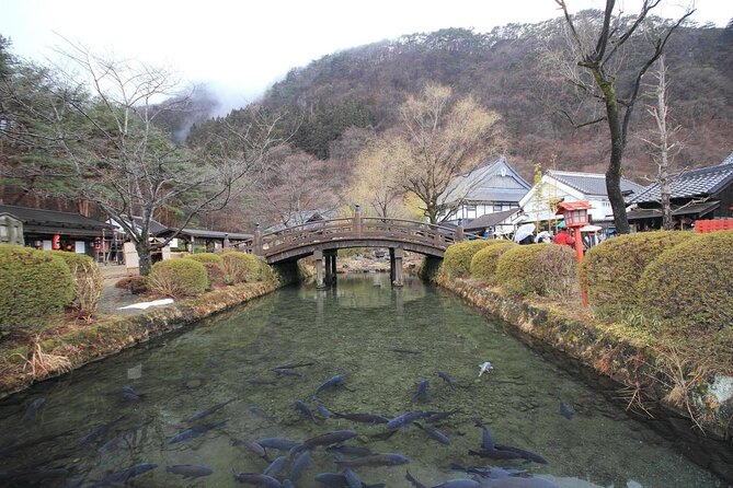 Chartered Private Tour - Tokyo to Nikko, Toshogu, Edo Wonderland - The mountain road to Akechidaira