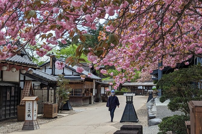 Chartered Private Tour - Tokyo to Nikko, Toshogu, Edo Wonderland - Starting at Shinkyo Bridge