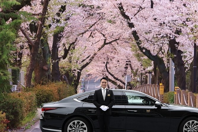 Cherry Blossom Private Tour - Key points to know before you book
