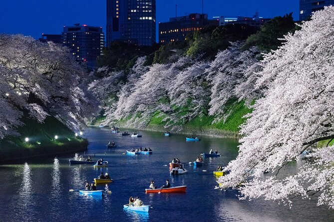 Cherry Blossom Private Tour - Blossom timing is the biggest variable