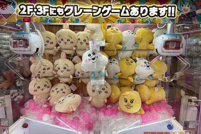 Crazy about Anime! Private Full Day Tokyo Manga Anime Tour by Chartered Vehicle - Akihabara for two hours of otaku culture