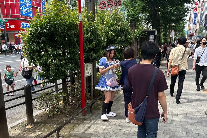 Crazy about Anime! Private Full Day Tokyo Manga Anime Tour by Chartered Vehicle - Price, meals, and extra costs