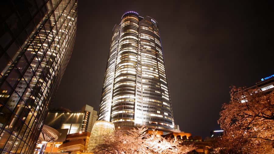 Crowd-Free Tokyo : teamLab, Roppongi Hills Views & NACT - teamLab Borderless: A Strong Final Stop