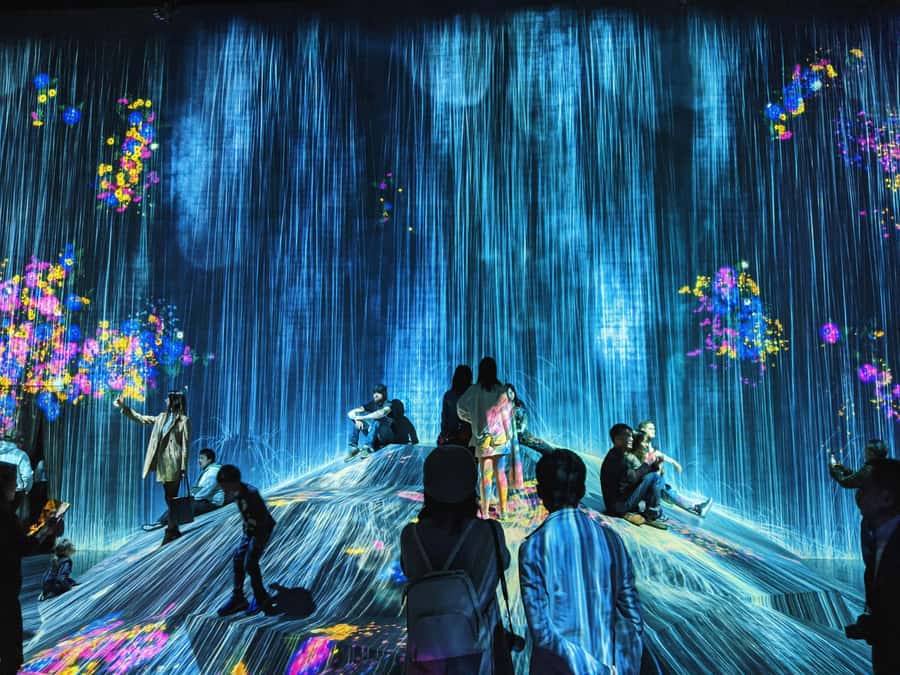 Crowd-Free Tokyo : teamLab, Roppongi Hills Views & NACT - What the Guides Add to the Experience