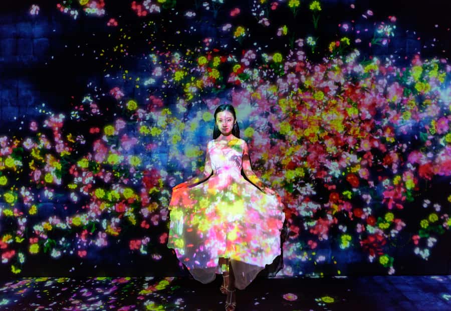Crowd-Free Tokyo : teamLab, Roppongi Hills Views & NACT - Is $129 a Fair Price?