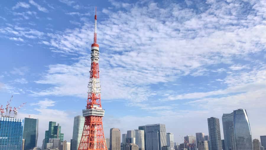 Crowd-Free Tokyo : teamLab, Roppongi Hills Views & NACT - Should You Book It?