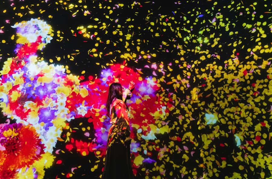Crowd-Free Tokyo : teamLab, Roppongi Hills Views & NACT - The National Art Center, Tokyo and Its Contemporary Edge