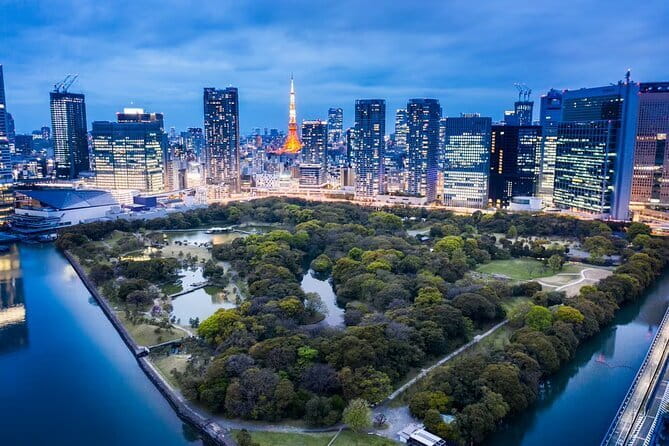 Customizable Private Tokyo Tour with an English-speaking Driver - Key points to know before booking
