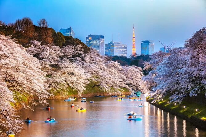 Customizable Private Tokyo Tour with an English-speaking Driver - Why a private car helps in sprawling Tokyo