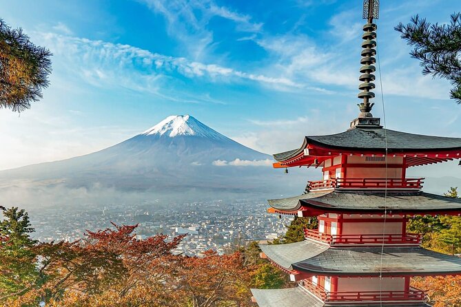 Customizable Private Tour in Mt Fuji from Tokyo by Car or Van - A private route is the real attraction