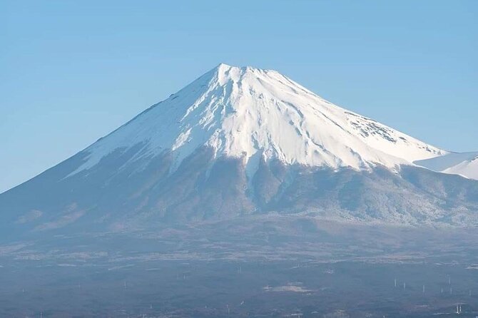 Customizable Private Tour in Mt Fuji from Tokyo by Car or Van - The ropeway gives you the wide view