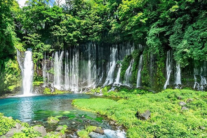 Customizable Private Tour in Mt Fuji from Tokyo by Car or Van - Oishi Park is built for seasonal color