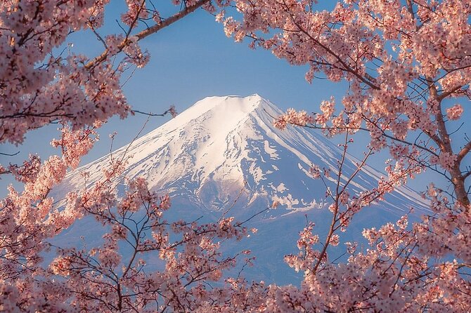 Customizable Private Tour in Mt Fuji from Tokyo by Car or Van - Shrines add meaning beyond the postcard