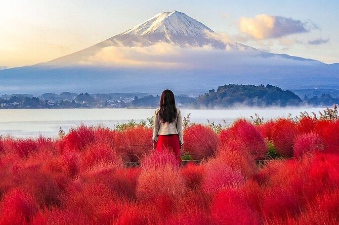 Customizable Private Tour in Mt Fuji from Tokyo by Car or Van - Chureito Pagoda requires nearly 400 steps