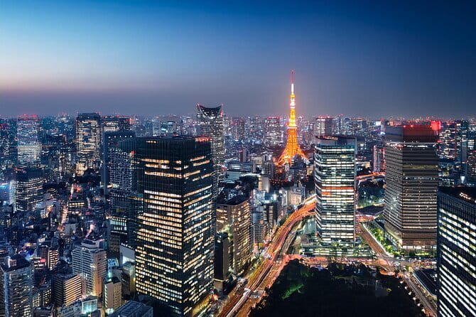 Customizable Tokyo Tour - Key points to know before booking