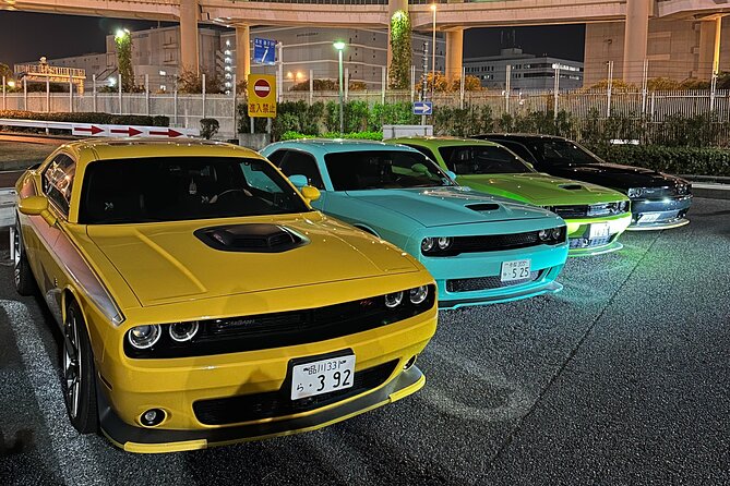 Daikoku Parking Tokyo Drift & APIT Car Meet JDM Culture Tour - Who Will Enjoy This Most?