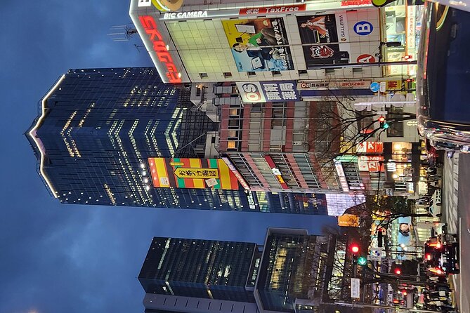 Day Private City Tour of Tokyo with English speaking driver - Shinjuku combines free viewpoints with quirky city icons