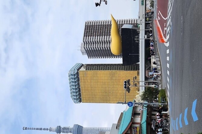 Day Private City Tour of Tokyo with English speaking driver - The driver makes the biggest difference