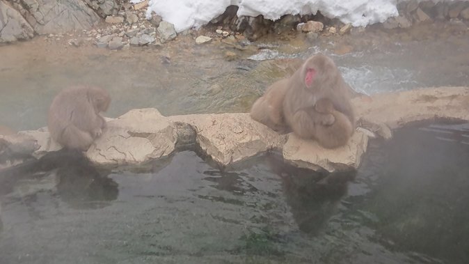 Day Trip to See the Snow Monkeys from Shinjuku with Lunch Buffet - Suzaka lunch: a welcome break with 130 foods