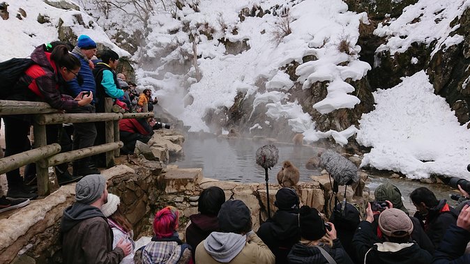 Day Trip to See the Snow Monkeys from Shinjuku with Lunch Buffet - Optional Shiga Kogen Roman Museum stop