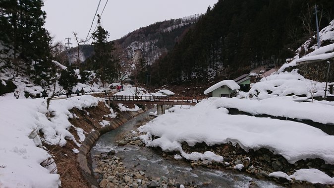 Day Trip to See the Snow Monkeys from Shinjuku with Lunch Buffet - Is $130.43 a fair price?