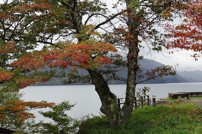 Daytrip to Nikko from Tokyo with local Japanese Photograher guide - Ryuzu Falls: a short stop with a strong payoff
