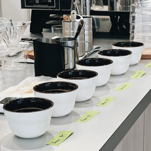 Discover Japanese Coffee Brewing Experience at Tokyo - Who will get the most from this workshop?