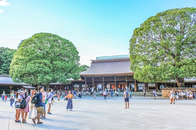 Discover Tokyo, Private Customized Tour with Expert Guides - Tokyo Tower supplies the big city view