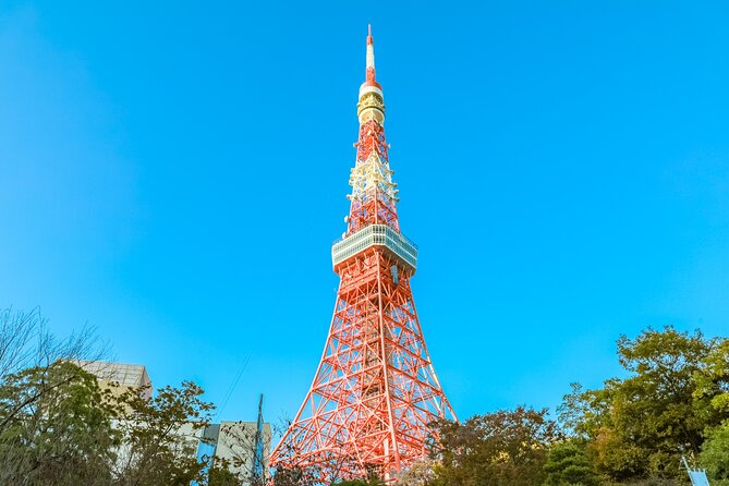 Discover Tokyo, Private Customized Tour with Expert Guides - The real value is in the guide and the planning