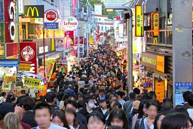 Discover your Tokyo -Private Tokyo Customized Walking Tour- - Meiji Jingu, a forest break beside the city