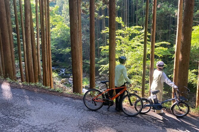 E-bike Rental in Okutama, Tokyo - Choosing the right e-bike at Trekkling