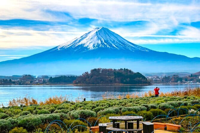 English Guided Mt. Fuji and Lake Kawaguchi Group Tour - Key points to know before booking