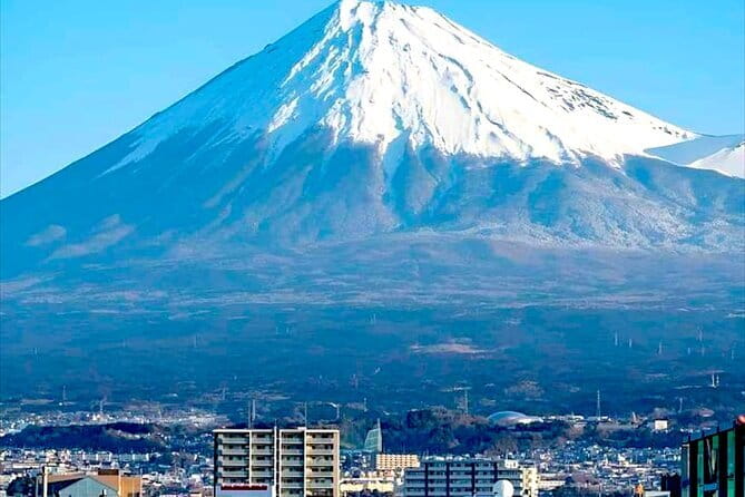 English Guided Mt. Fuji and Lake Kawaguchi Group Tour - Why a private ride from Tokyo makes sense
